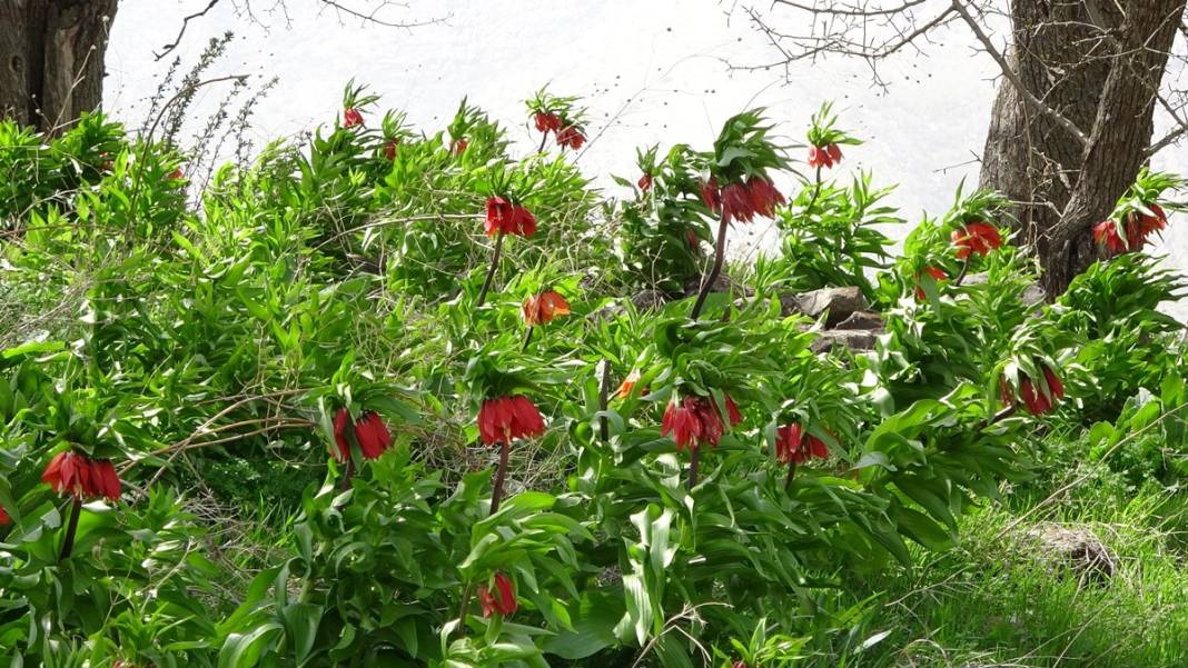 Bu insanlar neye bakıyor? Gece-gündüz nöbet tutuyorlar, ilk kez görenler şaştı kaldı! 29